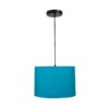 12 Inches Pendant/Hanging Ceiling Light Fixture, Teal Drum Shade, for Bedroom, Kitchen, Living Room, Dining Table, Lobby, Kitchen, Silver/Black Canopy - Image 5