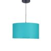 18 Inches Pendant/Hanging Ceiling Light Fixture, Teal Drum Shade, for Bedroom, Kitchen, Living Room, Dining Table, Lobby, Kitchen, Silver/Black Canopy - Image 6